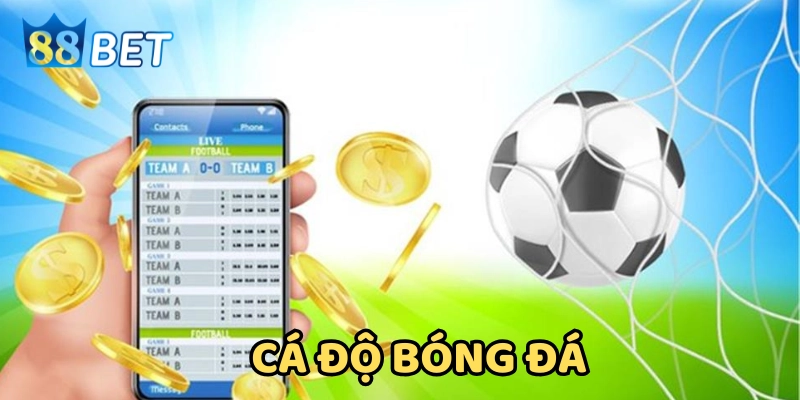 Chiến Thuật Cá Độ Bóng Đá: Đọc Kèo Và Tối Ưu Hóa Lợi Nhuận Một số kèo cơ bản